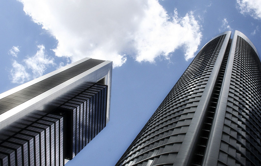 Ordinary shareholders’ meeting in limited liability companies